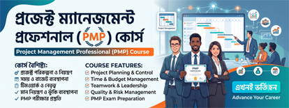 Project Management Professional (PMP)
